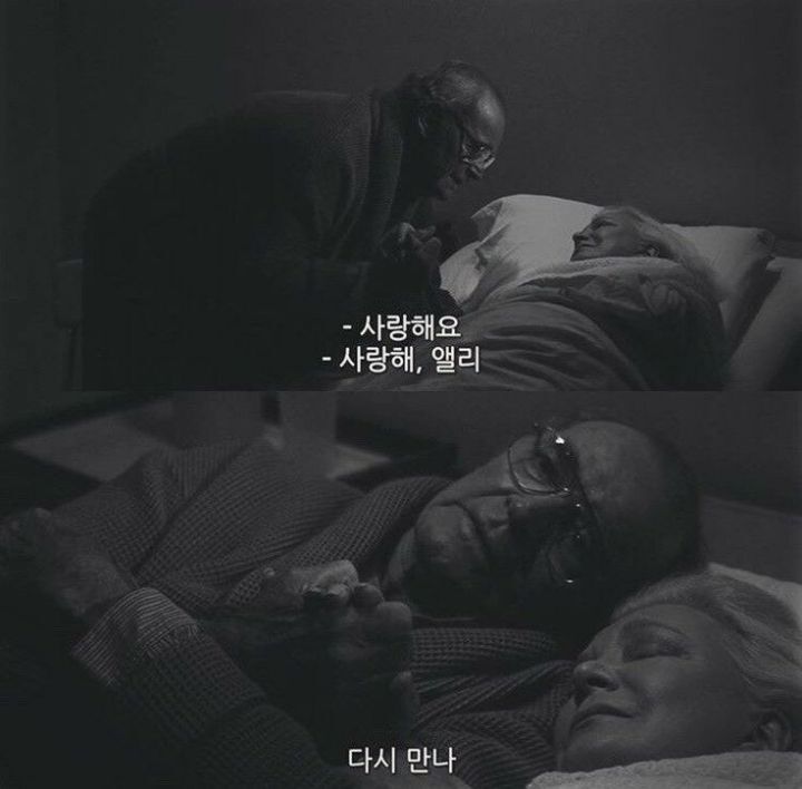 사랑이라고 생각하는 짤 올려보는 달글 | 인스티즈