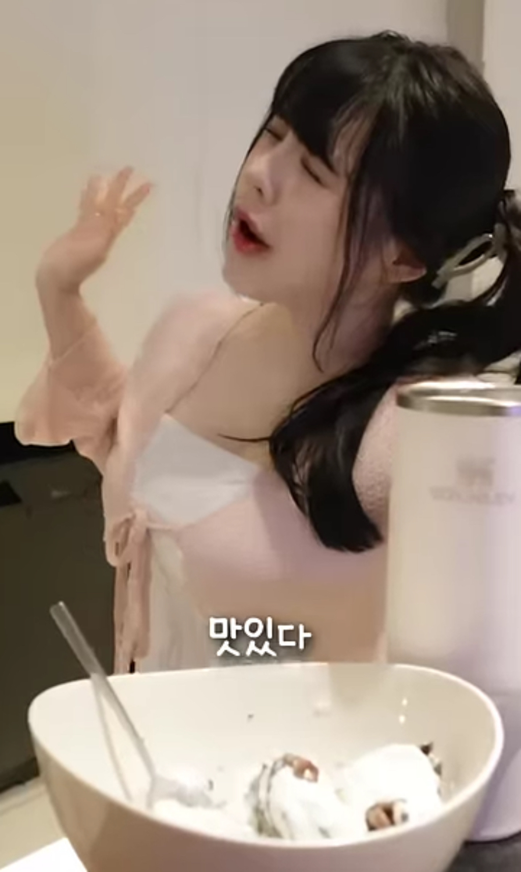 스탠리 텀블러에 요아정을 넣고 방콕 여행을 가면 녹을까 안 녹을까 | 인스티즈