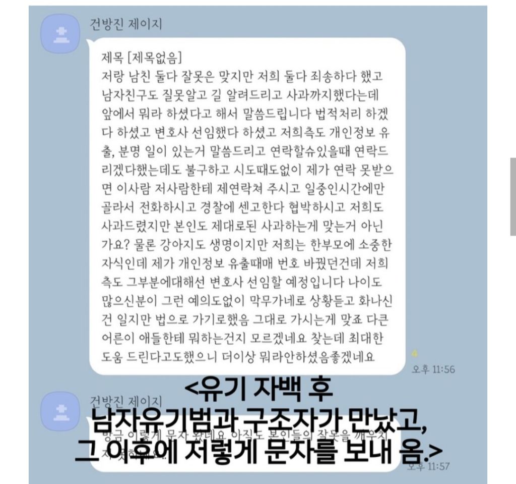 "2개월 아기강아지를 입양3일만에 유기한 20대 커플" 고발 서명 동참부탁해 | 인스티즈