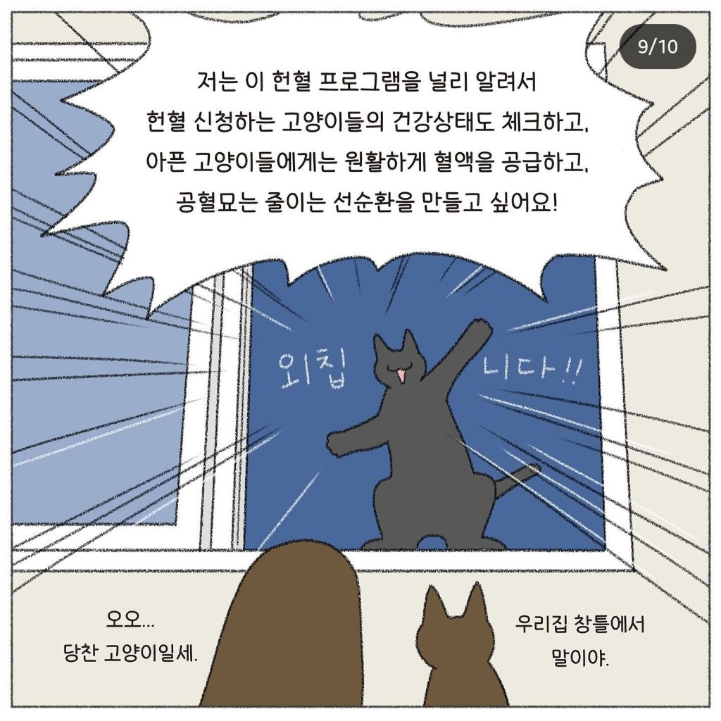 🐱💉고양이도 헌혈을 한다고? | 인스티즈