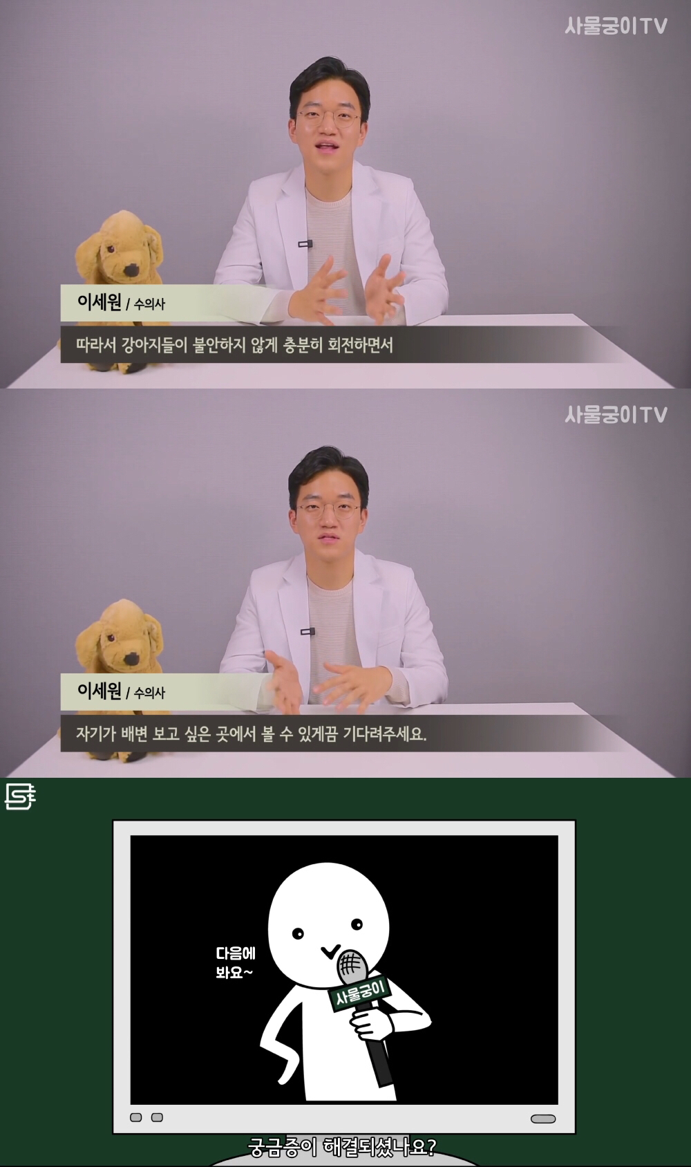 강아지는 왜 똥을 싸기 전에 빙글빙글 돌까? | 인스티즈