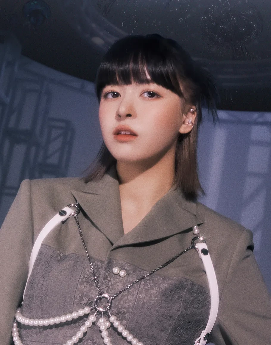 릴리케이 이미지