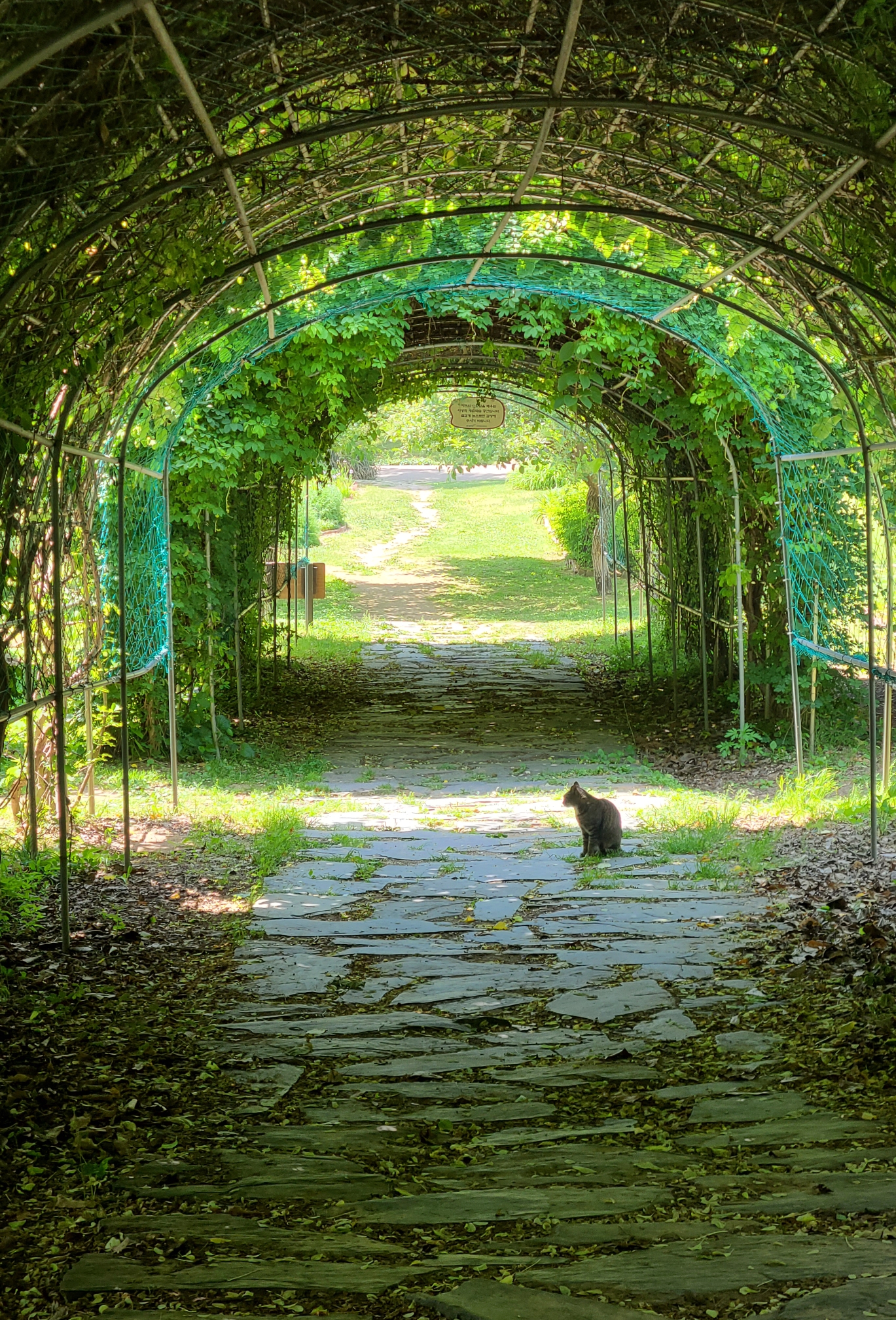 고양이랑 샌드위치 먹었어 🥪🐱 | 인스티즈