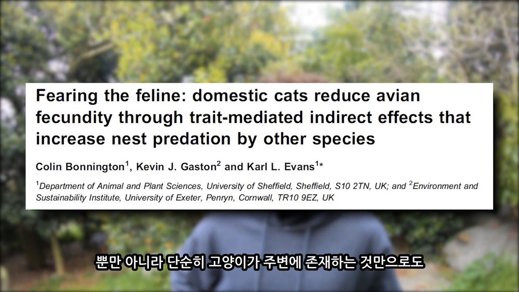 고양이가 자연생태계에 끼치는 심각한 영향(새 사체사진있음) | 인스티즈