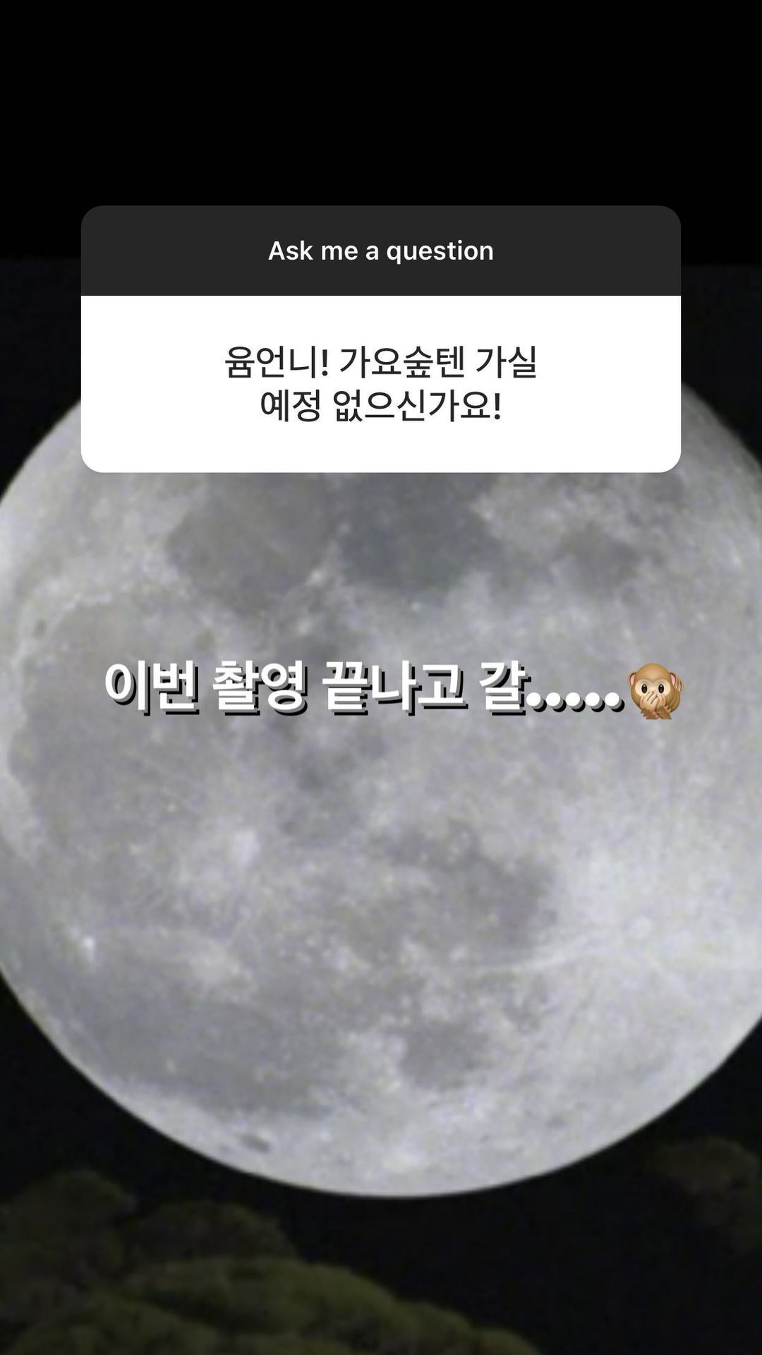 배우 정유미 취향과 tmi 가득한 인스타 무물보 답변 (스압) | 인스티즈