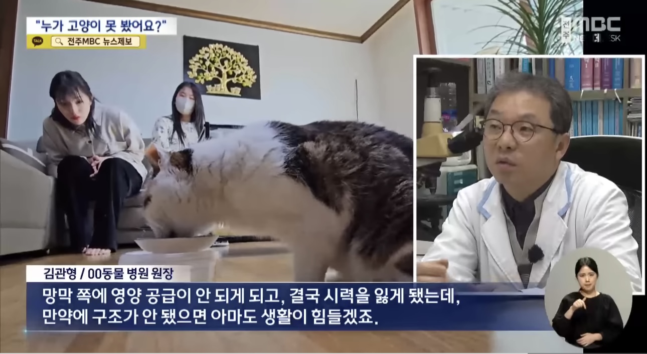 '눈먼 길고양이' 구조작전.. 훈훈한 쪽지 릴레이 | 인스티즈