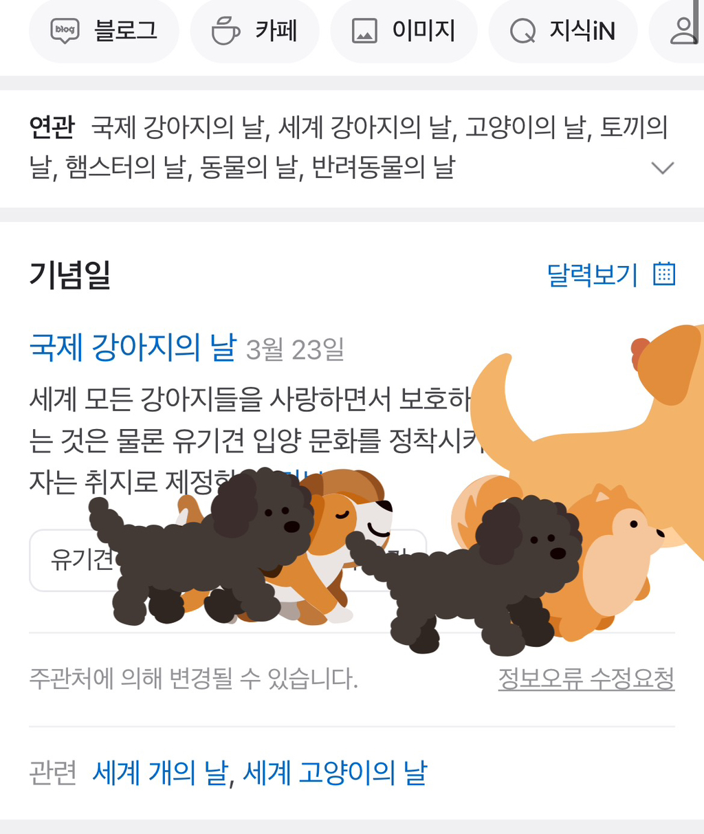 네이버에 '강아지의 날'을 검색하면 나오는 모습 | 인스티즈