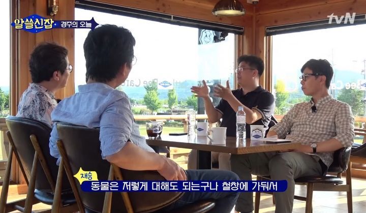 "동물원은 가장 비교육적인 방식으로 동물을 대면하는 방식이다" | 인스티즈