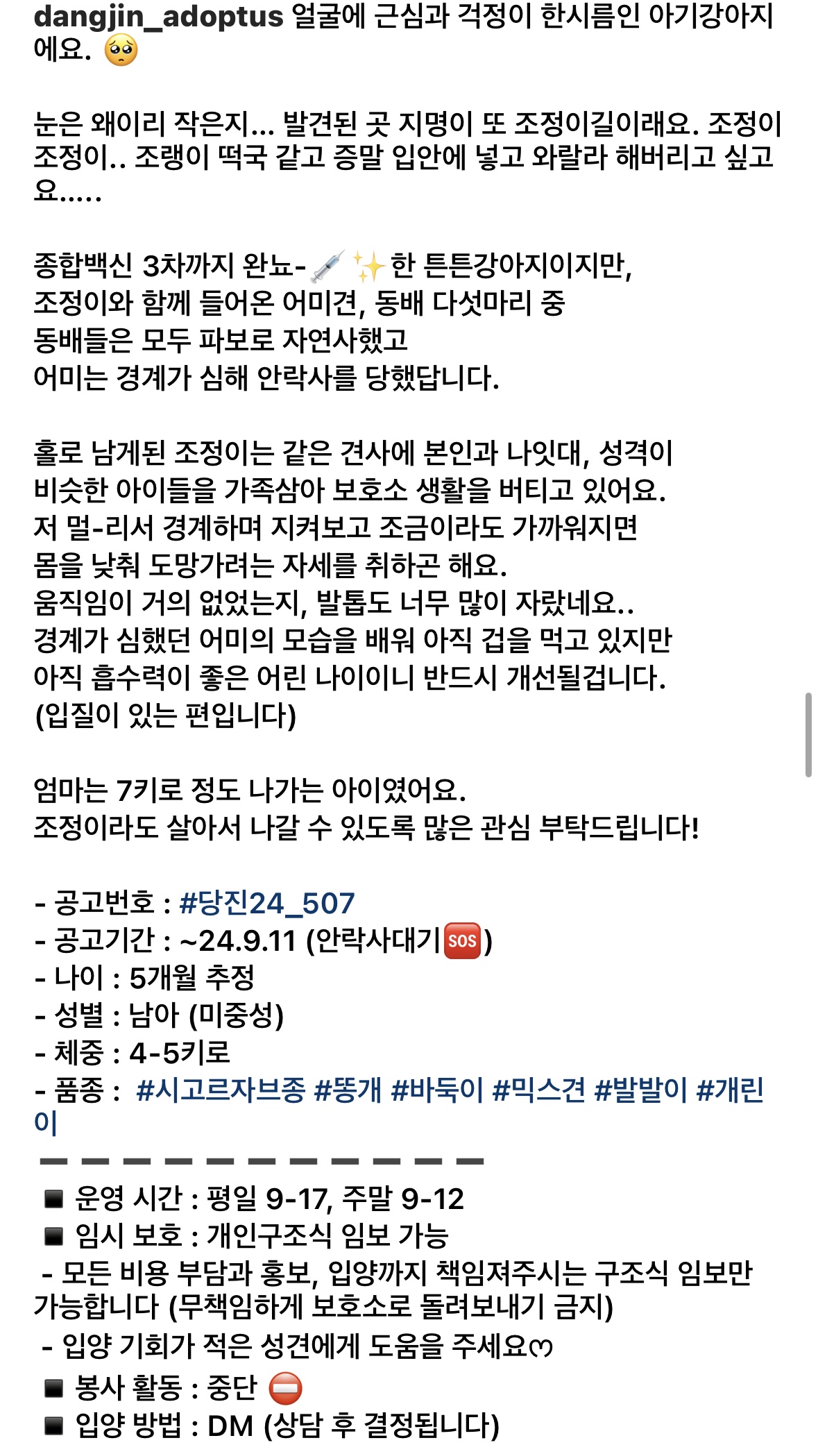 사람을 이렇게나 좋아하는데.. 곧 안락사된대요.... | 인스티즈