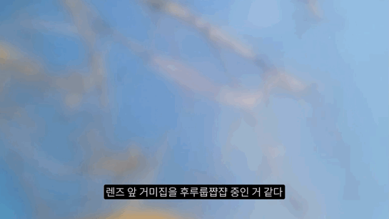 3fae1294befb7c2003e834ff93d215841a7462b5