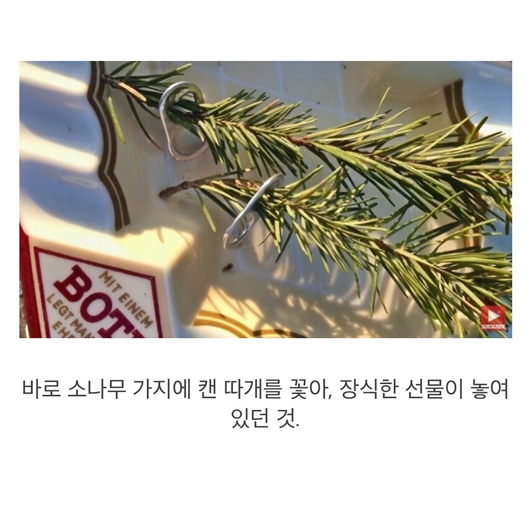 구해준 은인에게 직접 만든 나뭇가지 장식품 선물하는 까마귀.jpg | 인스티즈