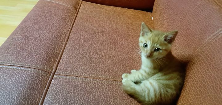 3fc6e138ed05461fc3f1feb4c2b172bb82425d73