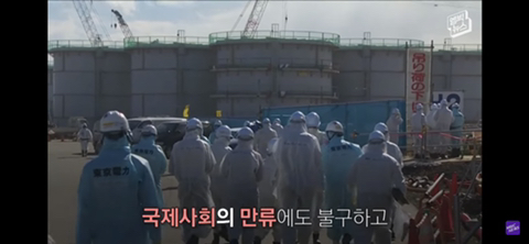 방사능 오염수에서 자란 맛 좋은 일본 광어 | 인스티즈