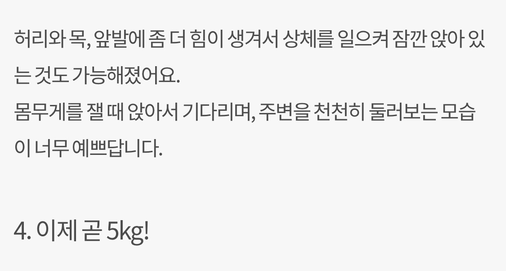 돼지만판다 이미지