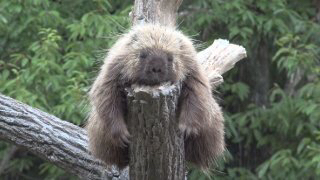 3ffe4e24f5e7df9c5a2d28efa8540a1361e41741