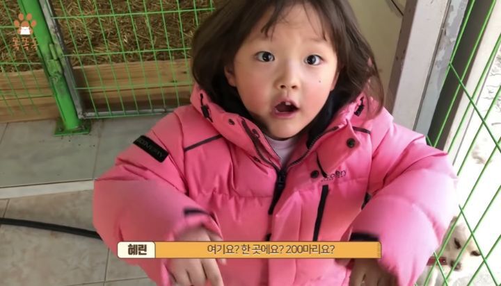 7살 아이 눈에 비친 유기견 보호소는? | 인스티즈