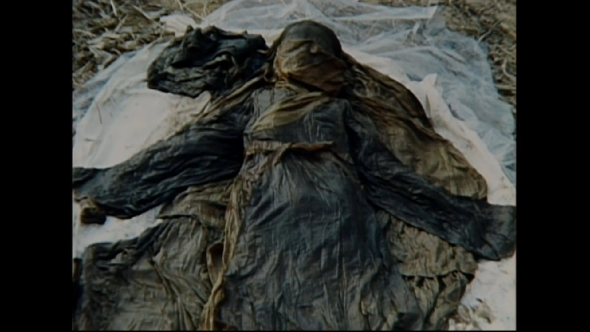 소년 미라의 묘에서 함께 발견된 것 | 인스티즈