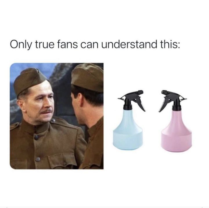 [프렌즈] 미드의 전설 F•R•I•E•N•D•S 짤&밈 털이 | 인스티즈