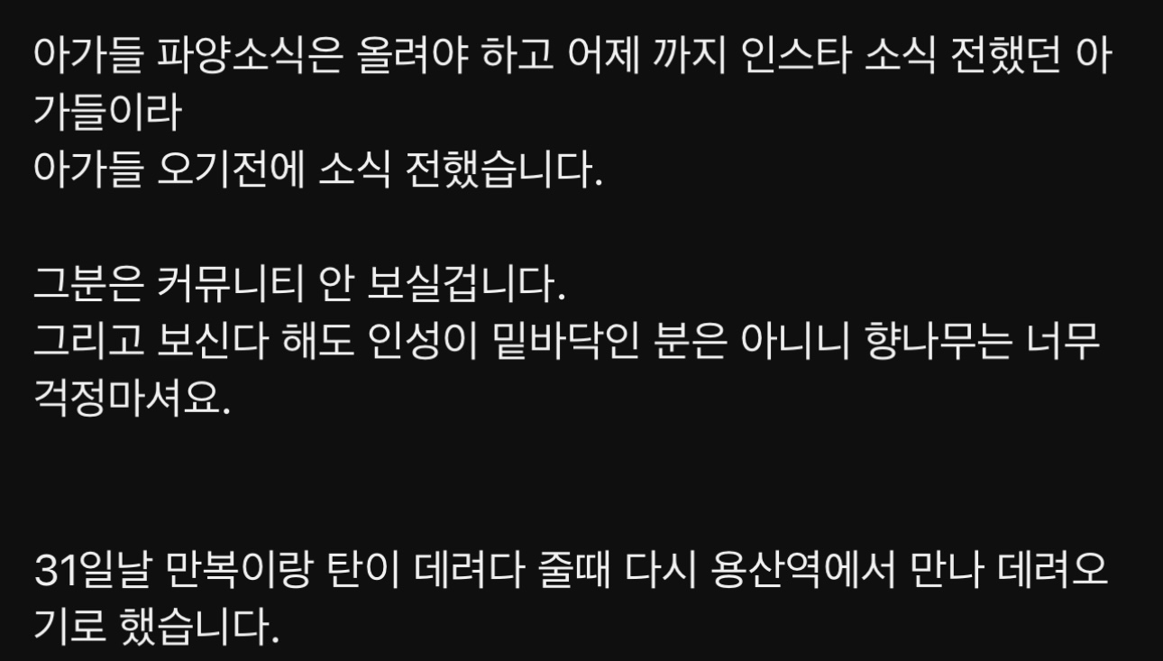 구조된 고양이가 입양갔는데 사람을 너무 잘 따른다는 이유로 파양됨 | 인스티즈