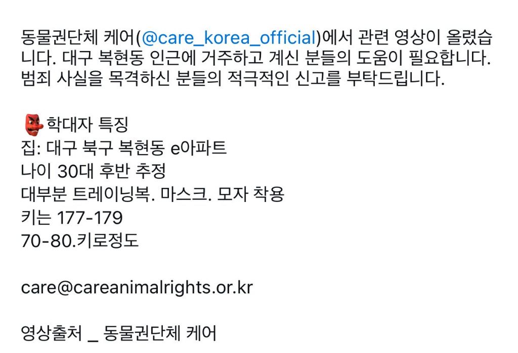 길고양이 급식소 밥그릇 훔쳐가고 XXX 뿌리는 남자 | 인스티즈