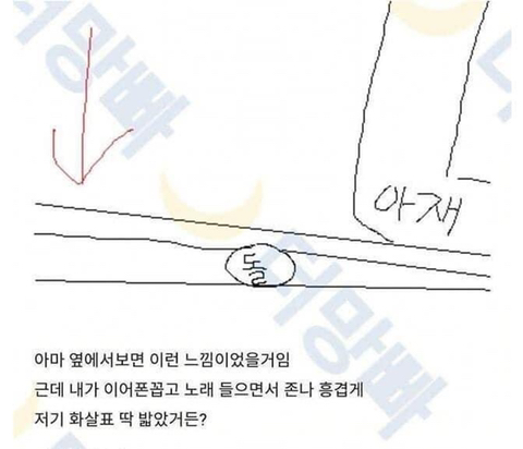 나 오늘 모르는 사람 넘어뜨림 | 인스티즈