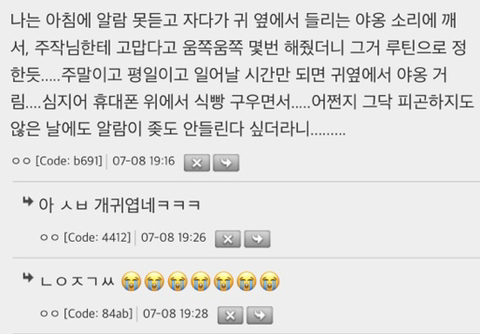 고양이들 뭐 맘에 드는 거 있으면 자기 루틴에 넣는다는 거 찐인가봐 | 인스티즈