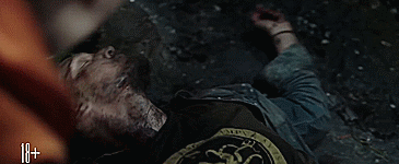 연락이 안되는 아빠가 걱정되서 집에 가봤더니 강아지가 지하실을 계속 응시하길래...gif | 인스티즈