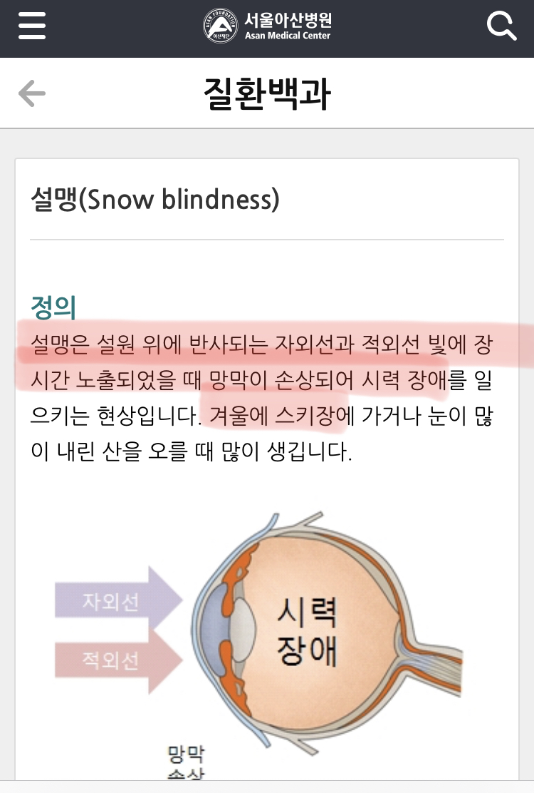 갑자기 찾아오는 실명: 겨울철 눈보라, 폭설, 새하얀 눈밭을 주의해야 하는 이유 | 인스티즈