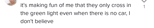 횡단보도에서 차도 없는데 초록불로 바뀔 때까지 기다린다고...??? | 인스티즈