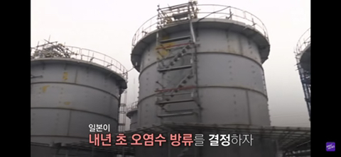 방사능 오염수에서 자란 맛 좋은 일본 광어 | 인스티즈