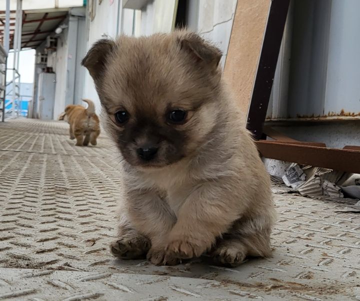 (공지라니... ++추가)새로생긴 회사 복지.. 미쳐서 도저히 일을 못하겠네.. (추가....)++추가 | 인스티즈