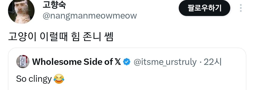 고양이한테 과한 관심을 받고 있는 집사 | 인스티즈