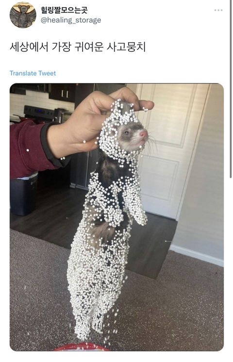 이거 어케 다 떼???? | 인스티즈