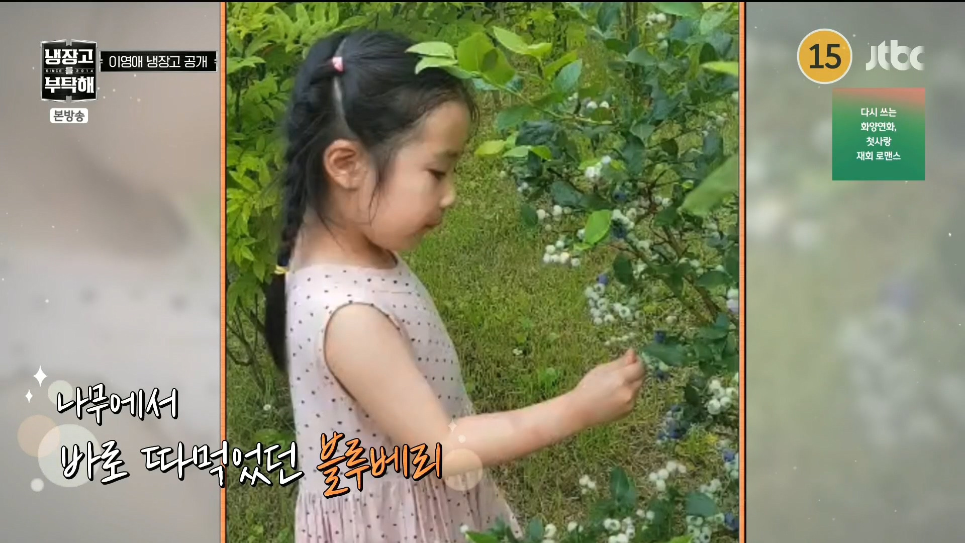 [냉장고를부탁해] 톡톡히 본 블루베리의 효능.jpg | 인스티즈