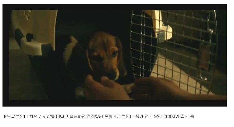 반려견 죽인새끼 복수하려고 사람 100명 죽이는 영화.JPG | 인스티즈