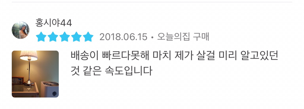 오늘의 집 웃긴 리뷰 모음 | 인스티즈