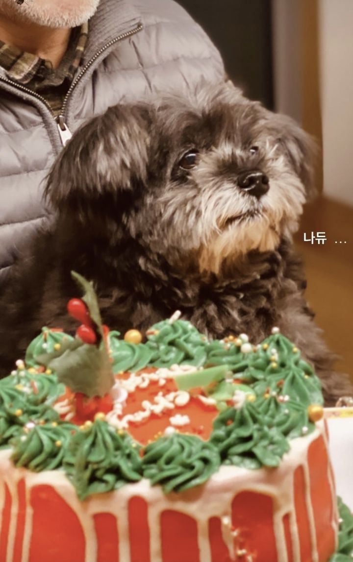 오늘자 올라온 문토리 사진 | 인스티즈