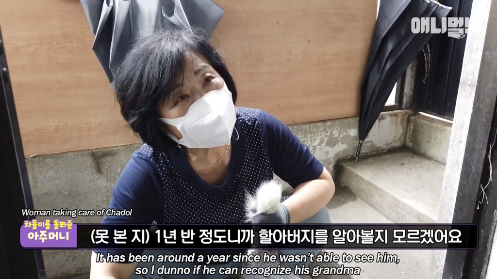1년만에 자신을 두고 간 주인을 만난 강아지 반응 | 인스티즈