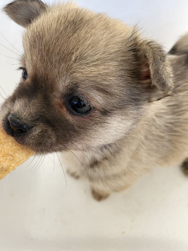 (공지라니... ++추가)새로생긴 회사 복지.. 미쳐서 도저히 일을 못하겠네.. (추가....)++추가 | 인스티즈