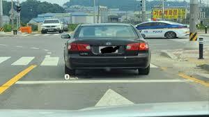 정지선 기준과 과태료.jpg | 인스티즈