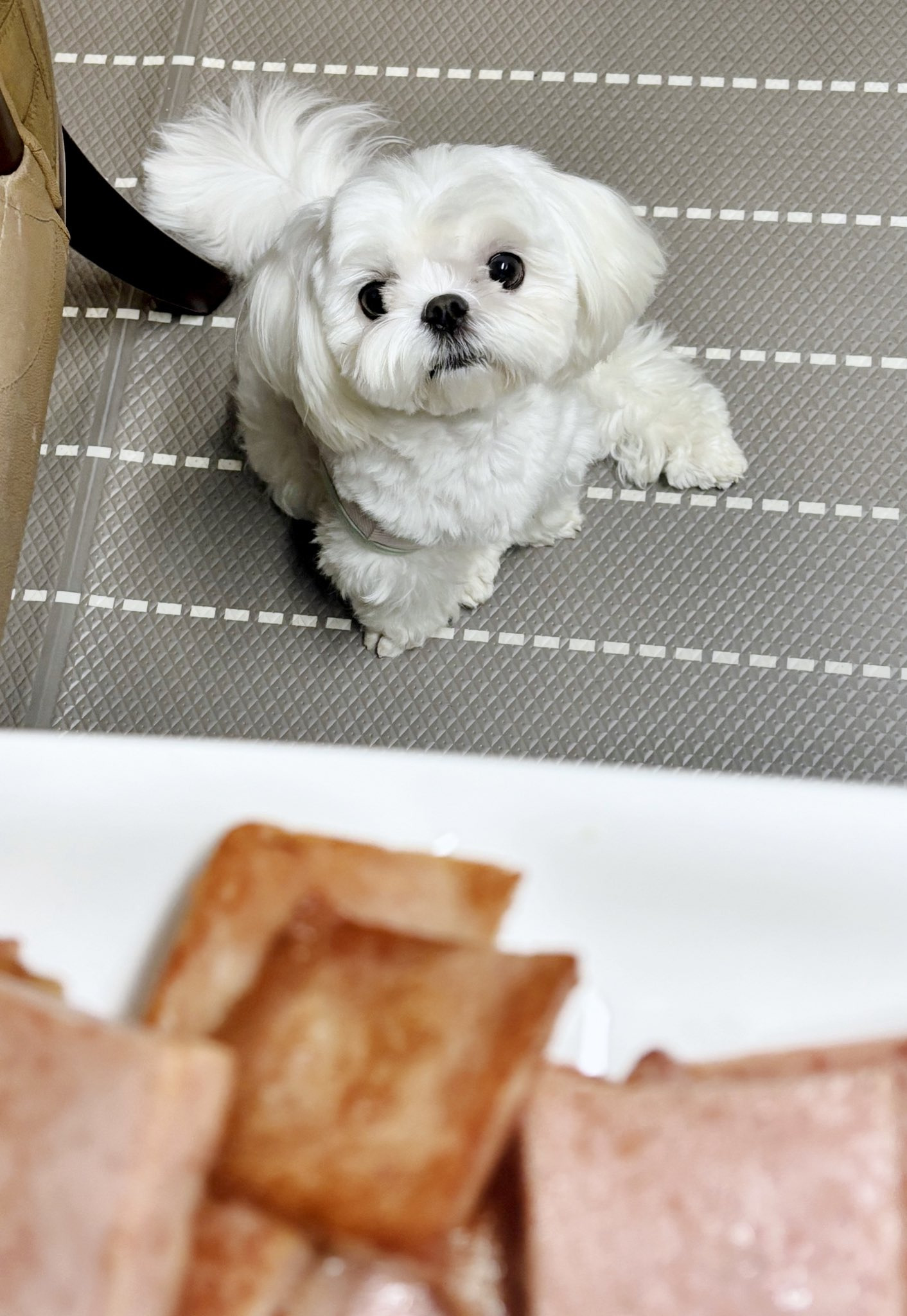 화장실 매니절 부른적 없다고...twt | 인스티즈