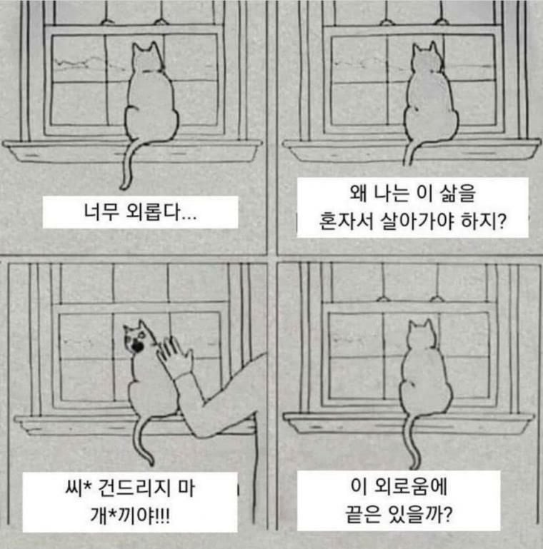 사람의 손길이 필요했던 고양이.gif | 인스티즈