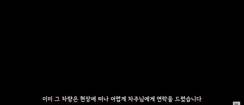 가족들 몰래 고양이를 갖다버린 아빠 | 인스티즈