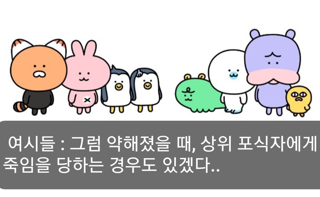 🙋‍♀️암컷 하이에나가 갖고 있는 신체적 특징이 뭔지 알아?🙋‍♀️ | 인스티즈