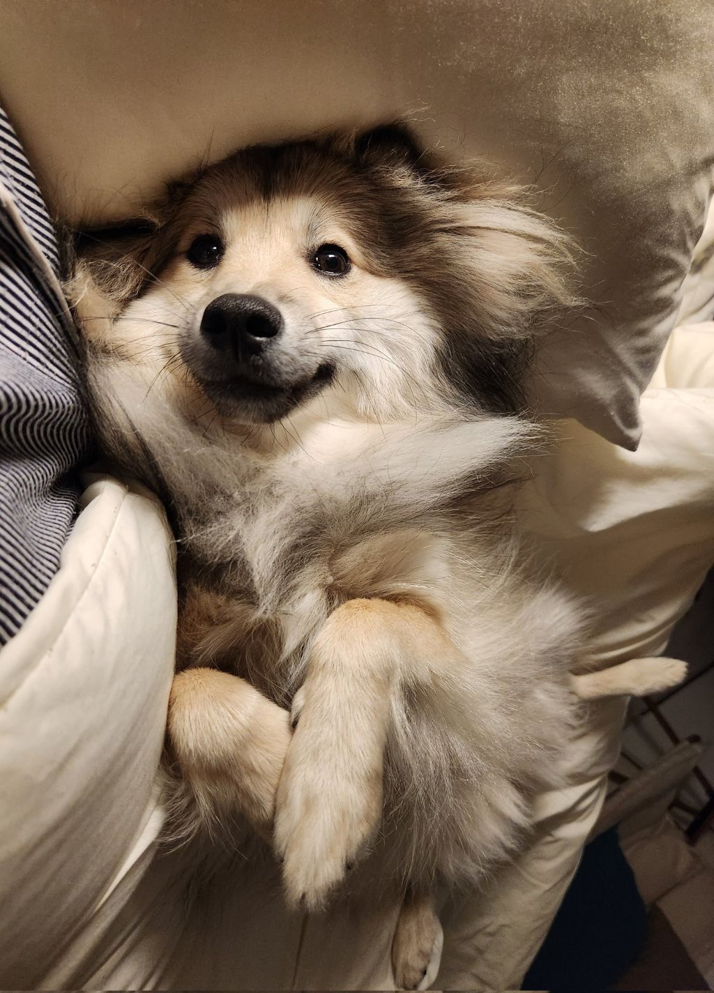 시장에서 만두 사는데 사장님이 잘생겼다고 만두를 더 줬어요 | 인스티즈