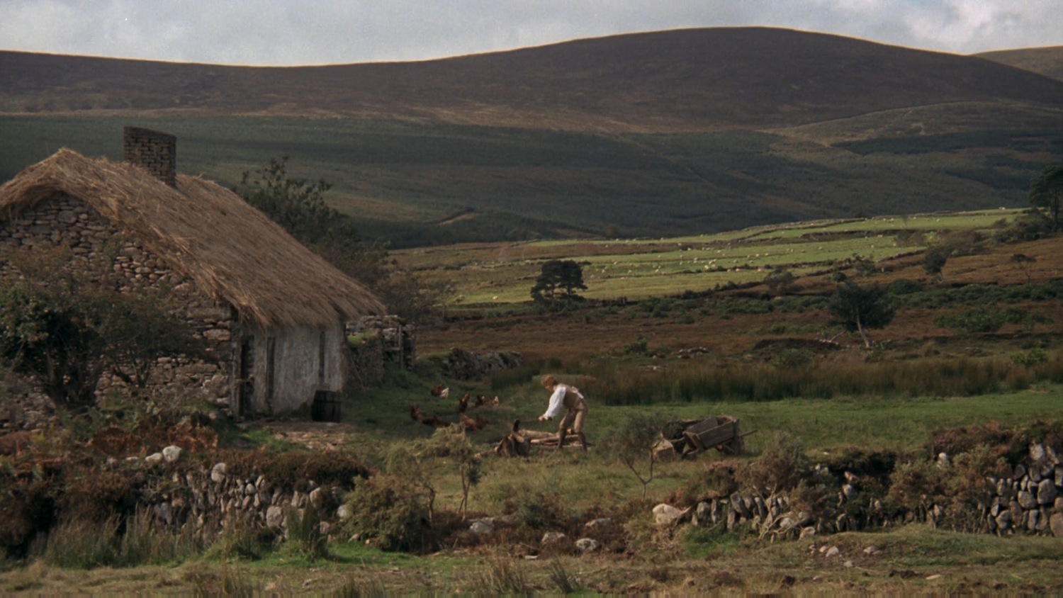 컷 하나하나가 로코코 시대 명화같이 아름답다는 영화.JPG | 인스티즈