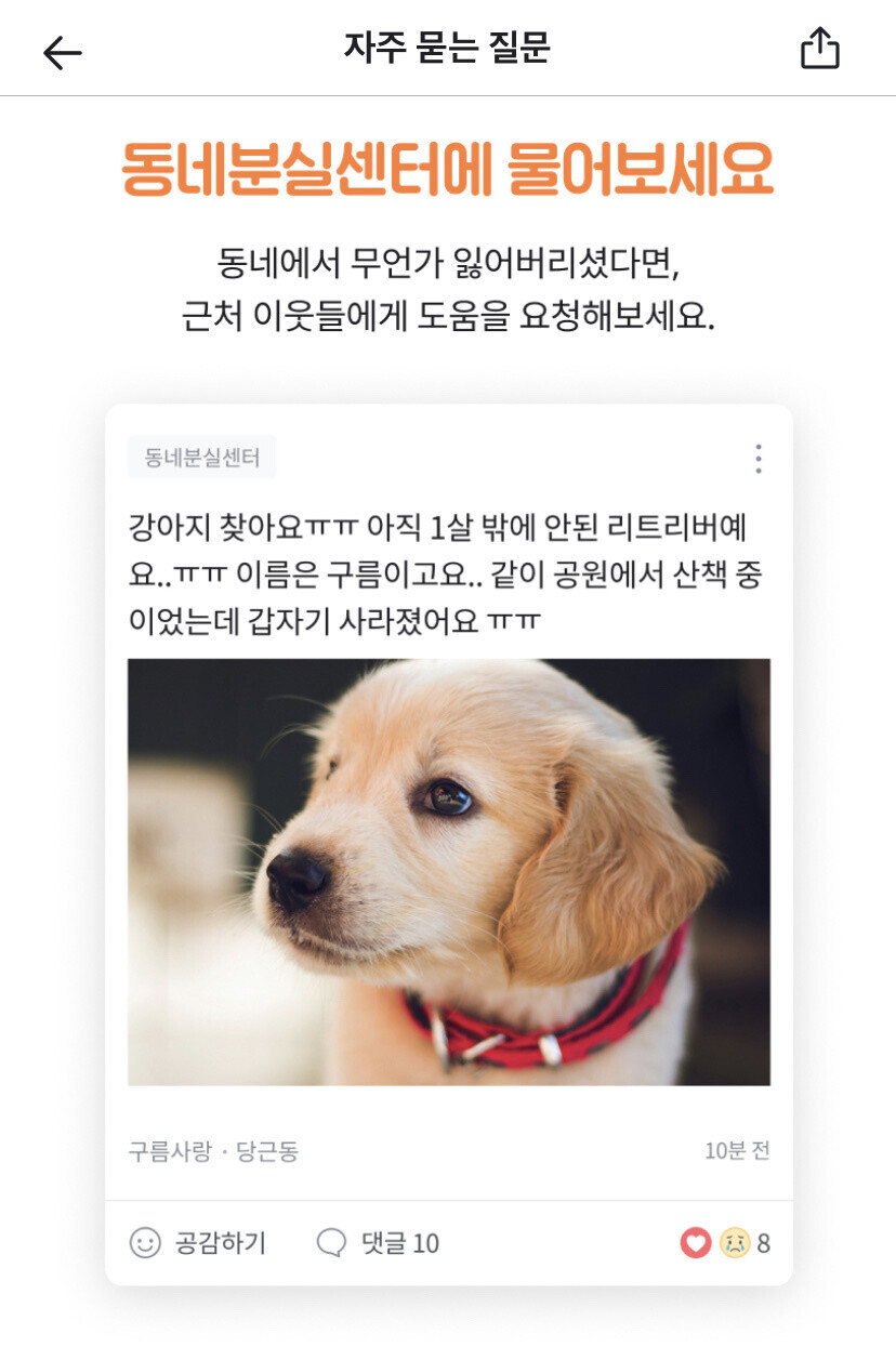 온도℃ 이미지