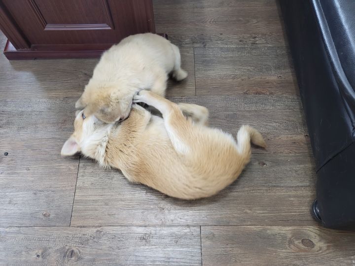 (공지라니... ++추가)새로생긴 회사 복지.. 미쳐서 도저히 일을 못하겠네.. (추가....)++추가 | 인스티즈