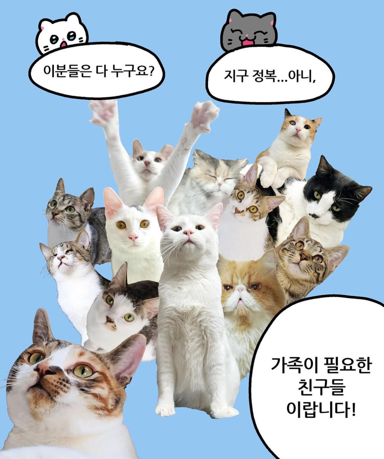 나비야 이미지