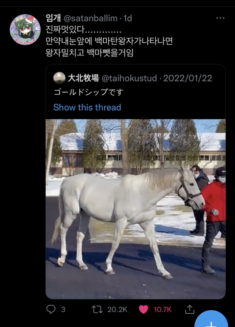 백마가스 이미지